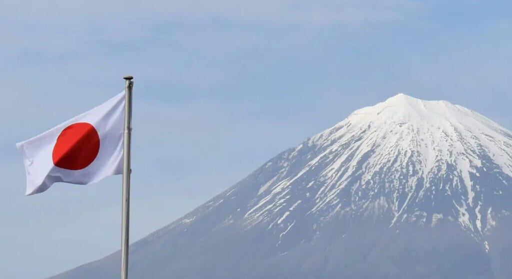 JAPAN DOMESTIC MARKET